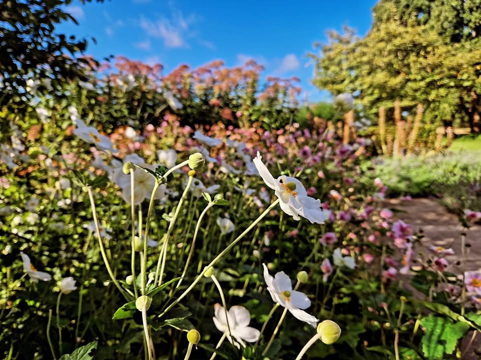 Van Achterberg Tuinen