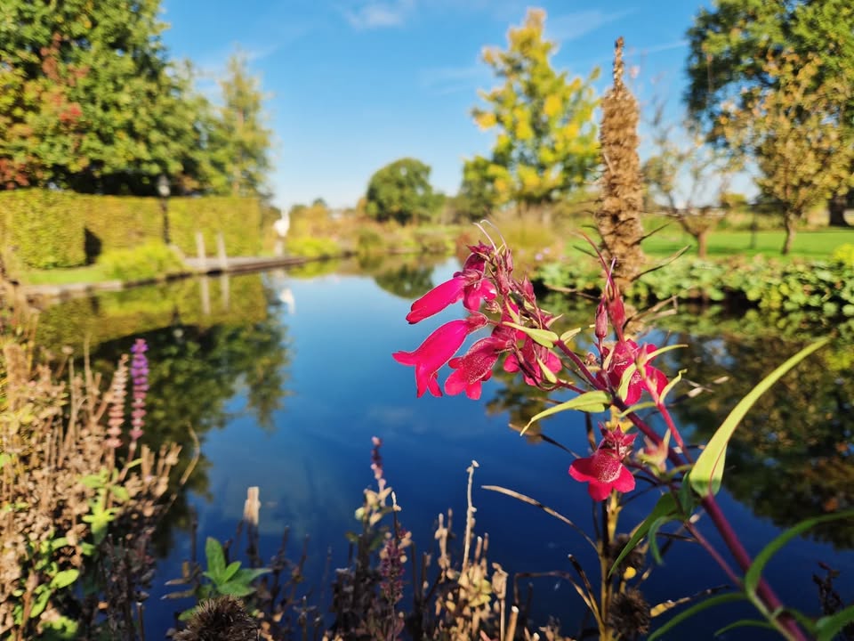 Van Achterberg Tuinen