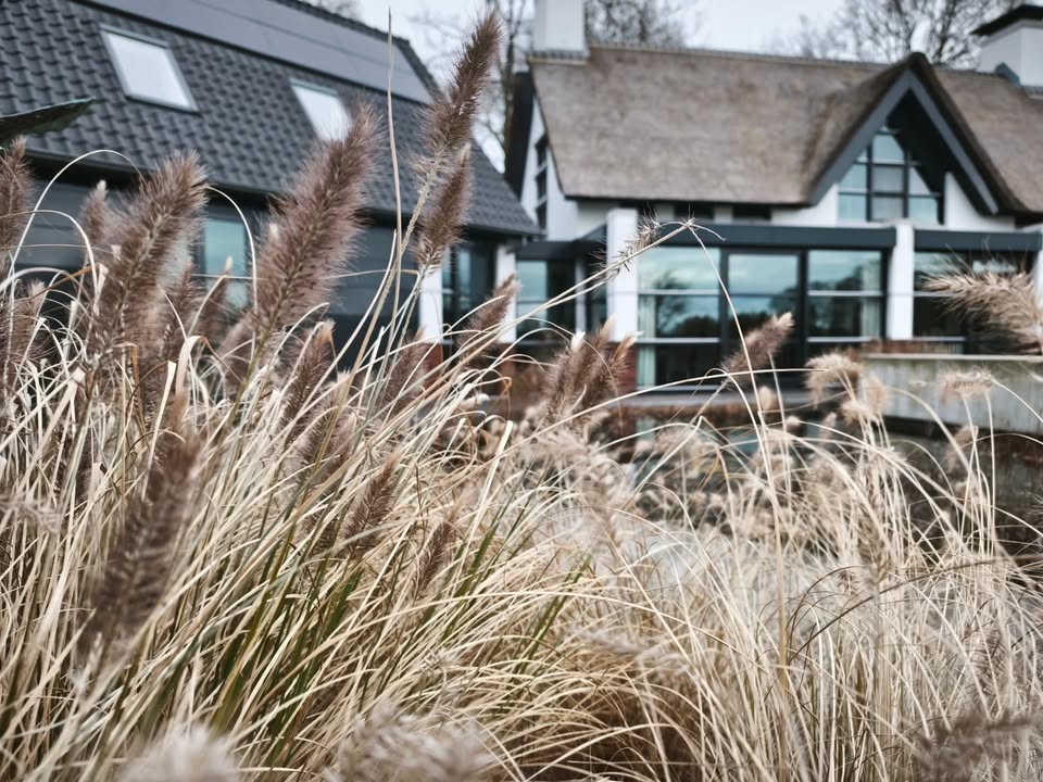 Van Achterberg Tuinen